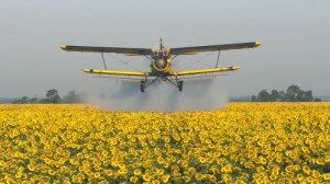 A still from Our Daily Bread