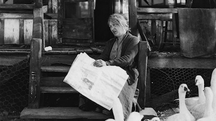 The Goose Woman (1925) The Goose Woman (1925)