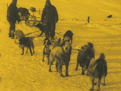 The Great White Silence (1924)