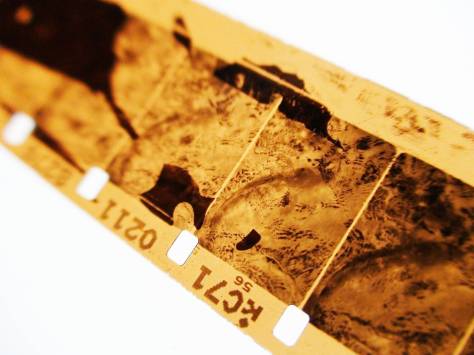 The essence of celluloid – Spirit Made Flesh The essence of celluloid – Spirit Made Flesh