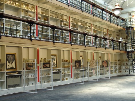 Image courtesy The Pathology Museum Image courtesy The Pathology Museum