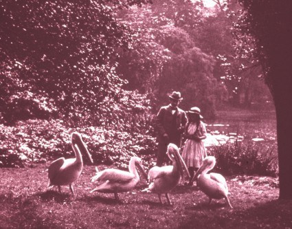 The Life Story of David Lloyd George (1918)