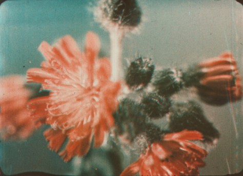 A Day With John Burroughs (1919) George Eastman House Motion Picture Department Collection 