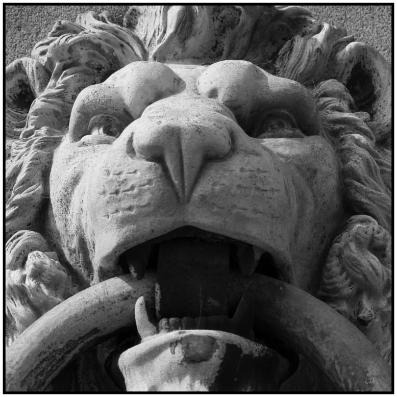 Photograph: Alex Barrett