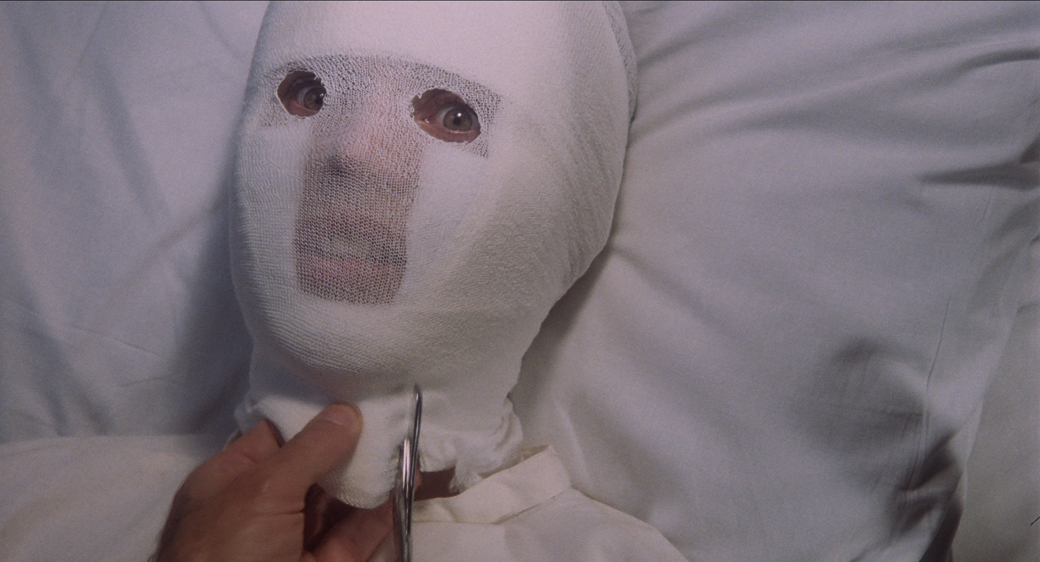 28227602986_f29b647470_k