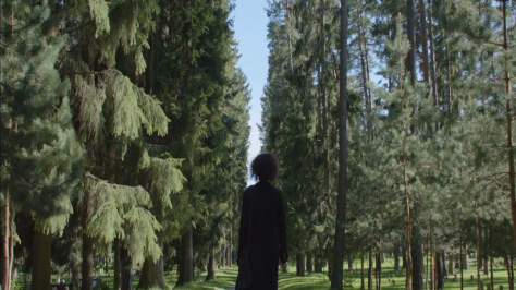 Stockholm_My_Love_02