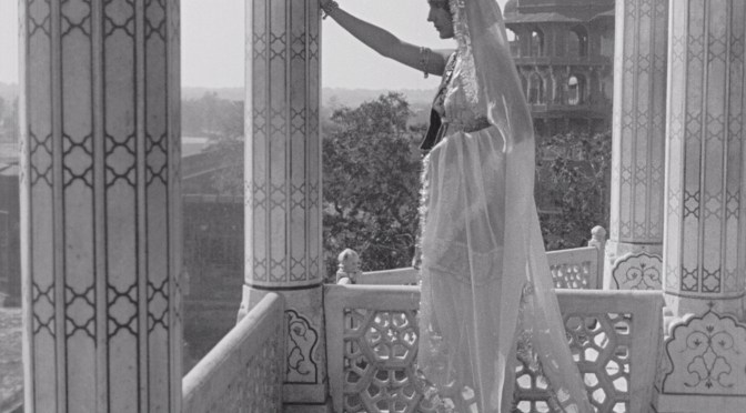 Shiraz: coming to a screen near you soon