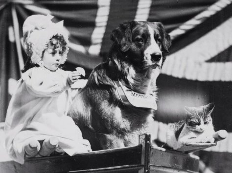 me-and-my-two-friends-1898-001-girl-dog_0