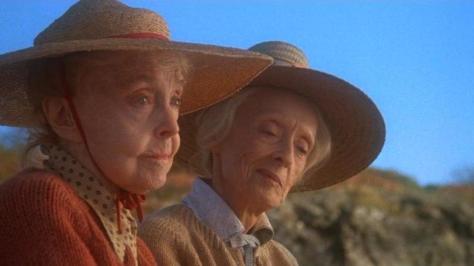 Lillian Gish and Bette Davis in The Whales of August (1987)