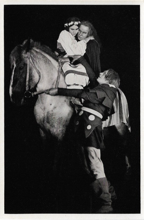 The Stone Rider (1923)