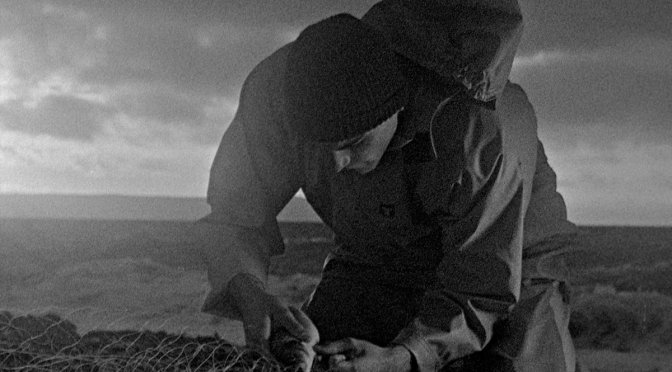 Bait review: Silent landscapes, angry voices