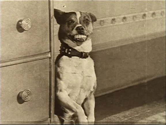 Mighty Like a Moose (1926)