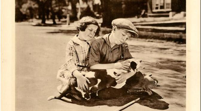 Giornate journal 2020: Pordenone post No 1