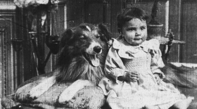 Silent shouts: books, blogs, festivals and more