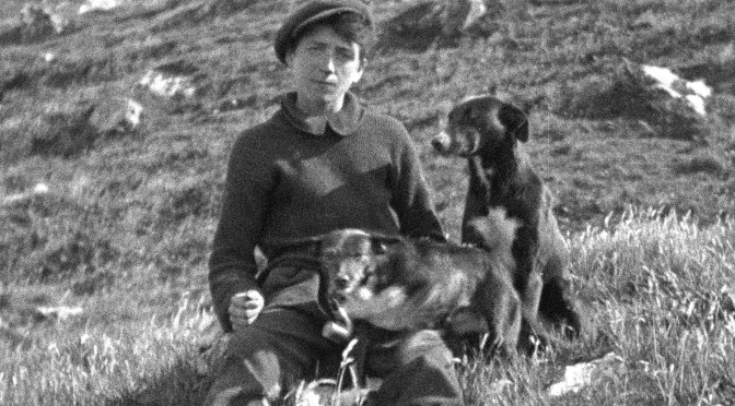 Hippfest 2023: the early days