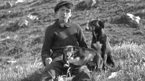 Hippfest 2023: the early days