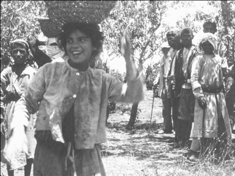 Le Giornate del Cinema Muto 2025: Pordenone Post No 5